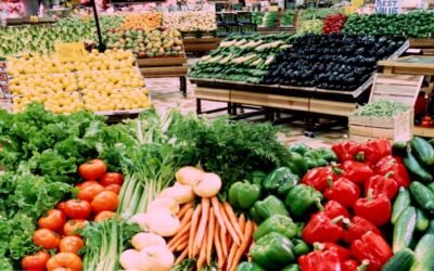 Fluktuasi Produksi Buah & Sayur di Rimba Melintang ROHIL